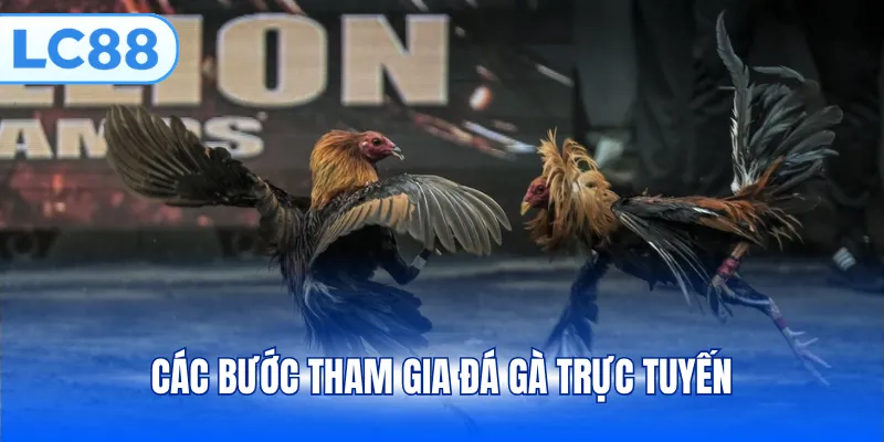 Các bước tham gia đá gà trực tuyến