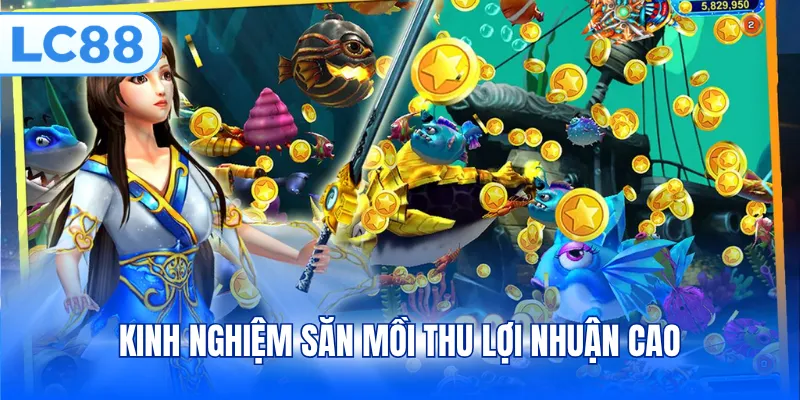Kinh nghiệm săn mồi thu lợi nhuận cao 