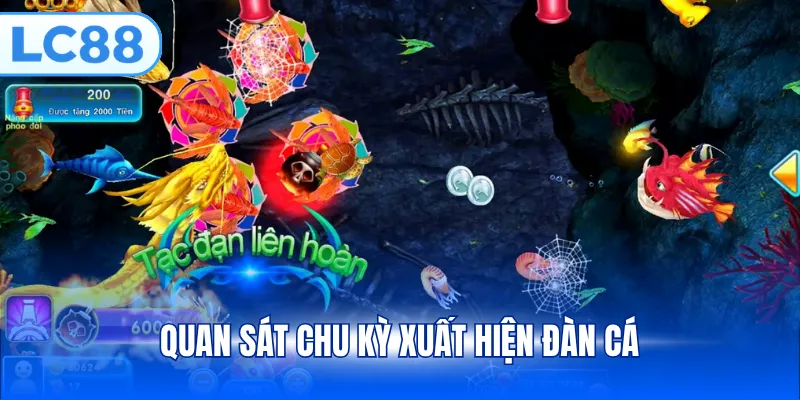 Quan sát chu kỳ xuất hiện đàn cá